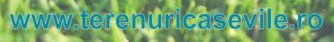 Equilibrum Investment
