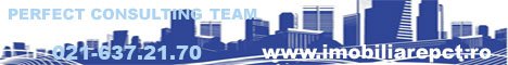 Perfect Consulting Team