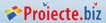 proiecte imobiliare